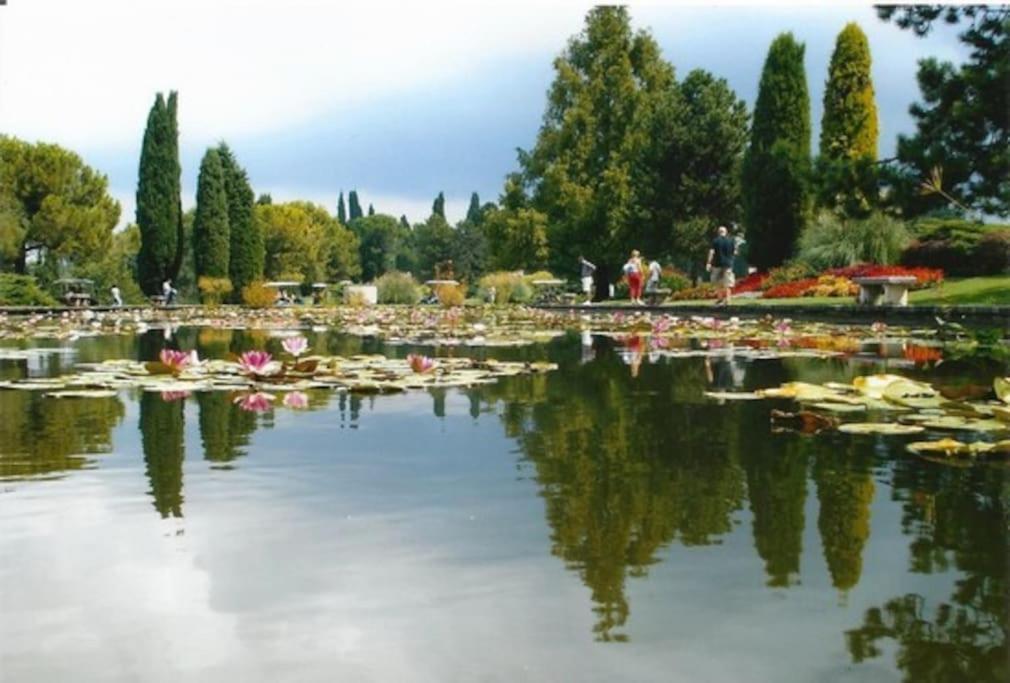 Sui Tetti Di Valeggio -